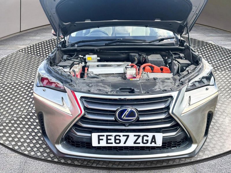 LEXUS NX